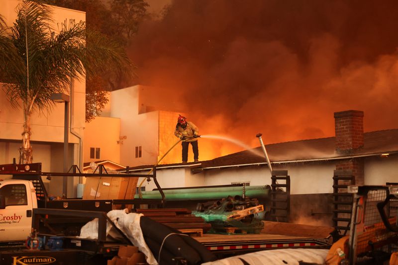 अमेरिका के जंगलों में आग